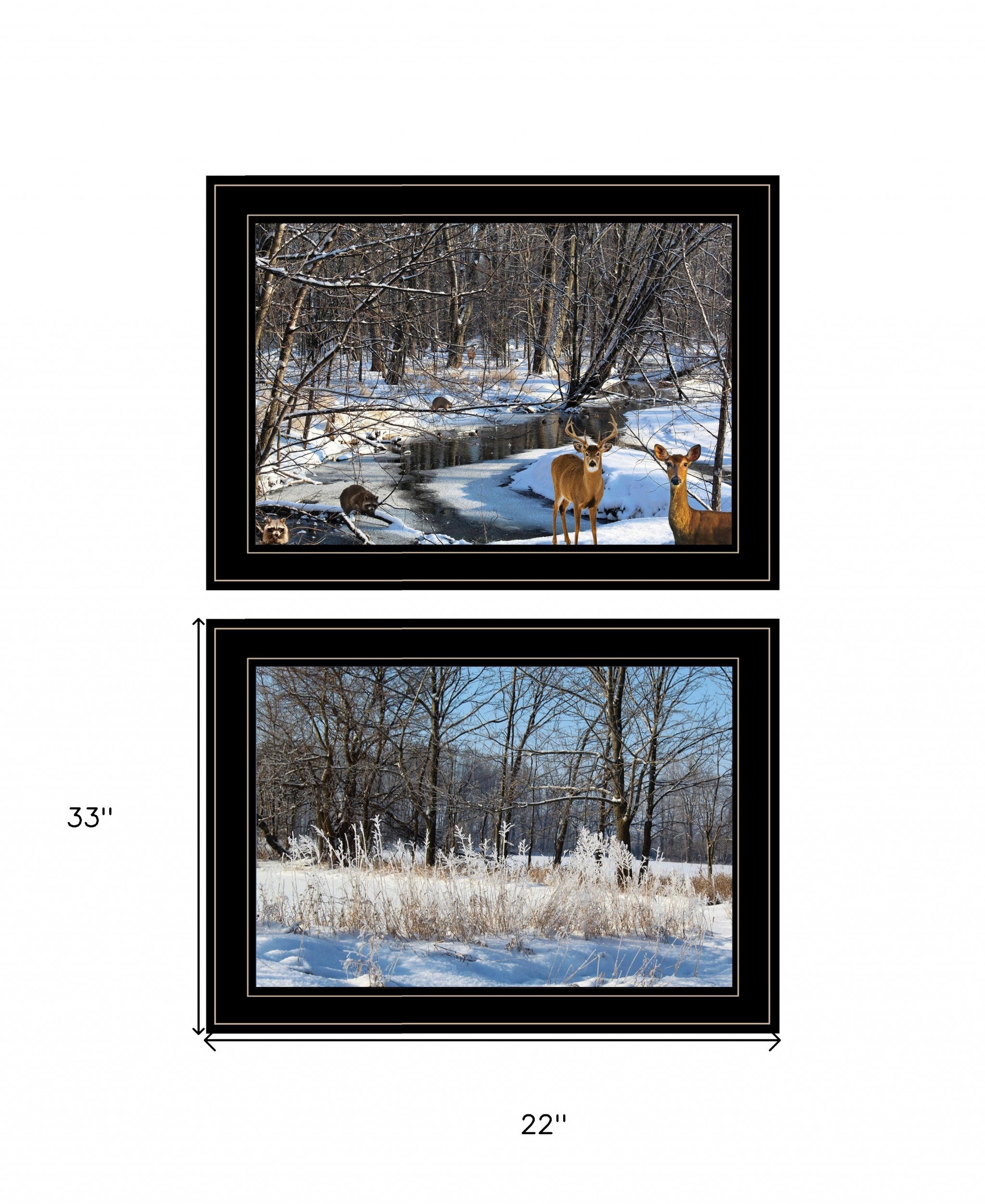 Set Of Two Great Outdoors Nature Or Winter Forest 4 Black Framed Print Wall Art