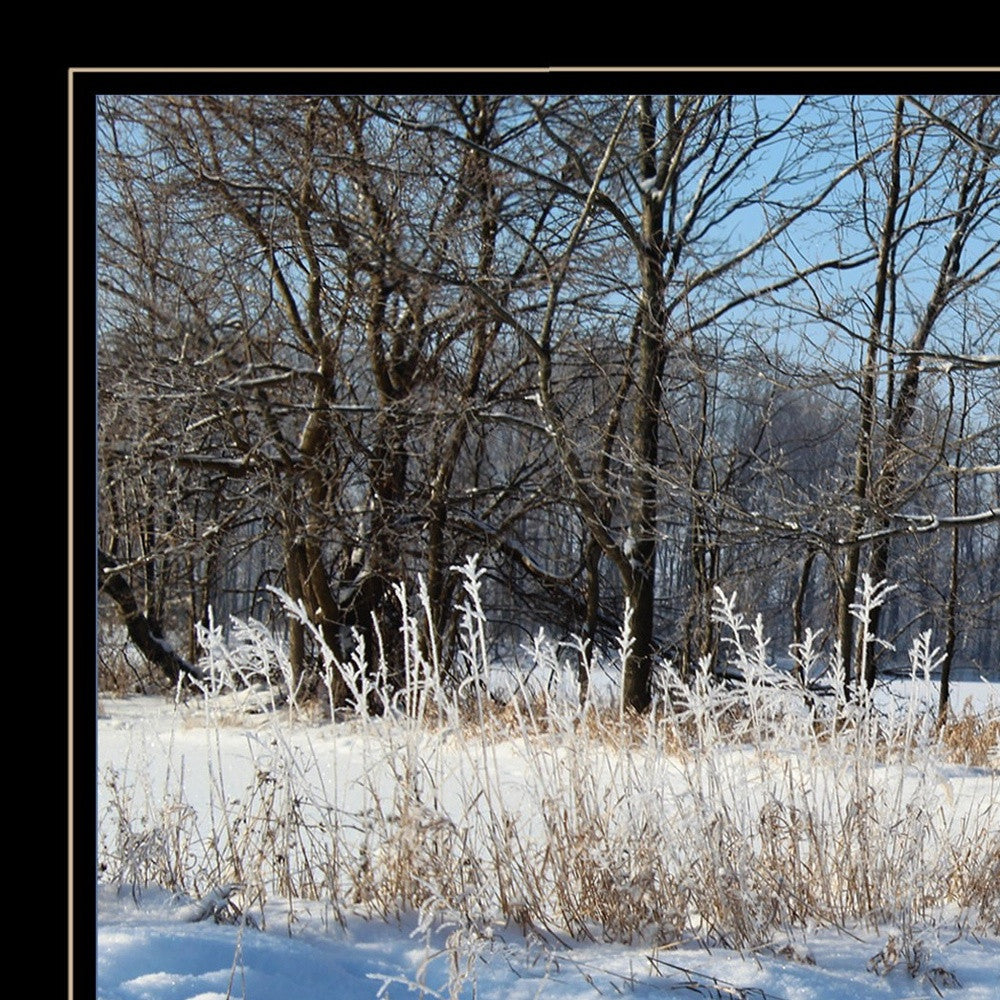 Set Of Two Great Outdoors Nature Or Winter Forest 4 Black Framed Print Wall Art