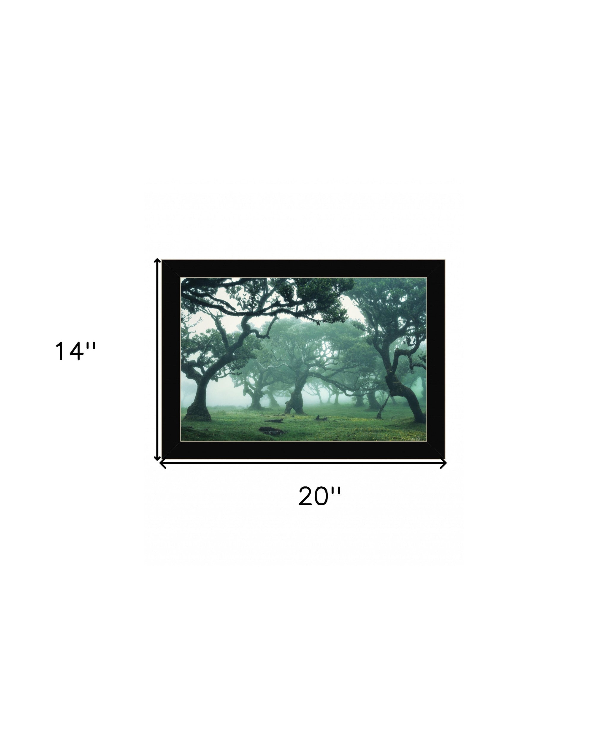 Enchanted Forest II 1 Black Framed Print Wall Art