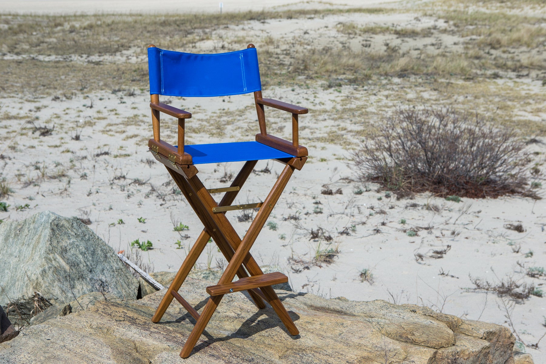 Blue And Brown Solid Wood Director Chair