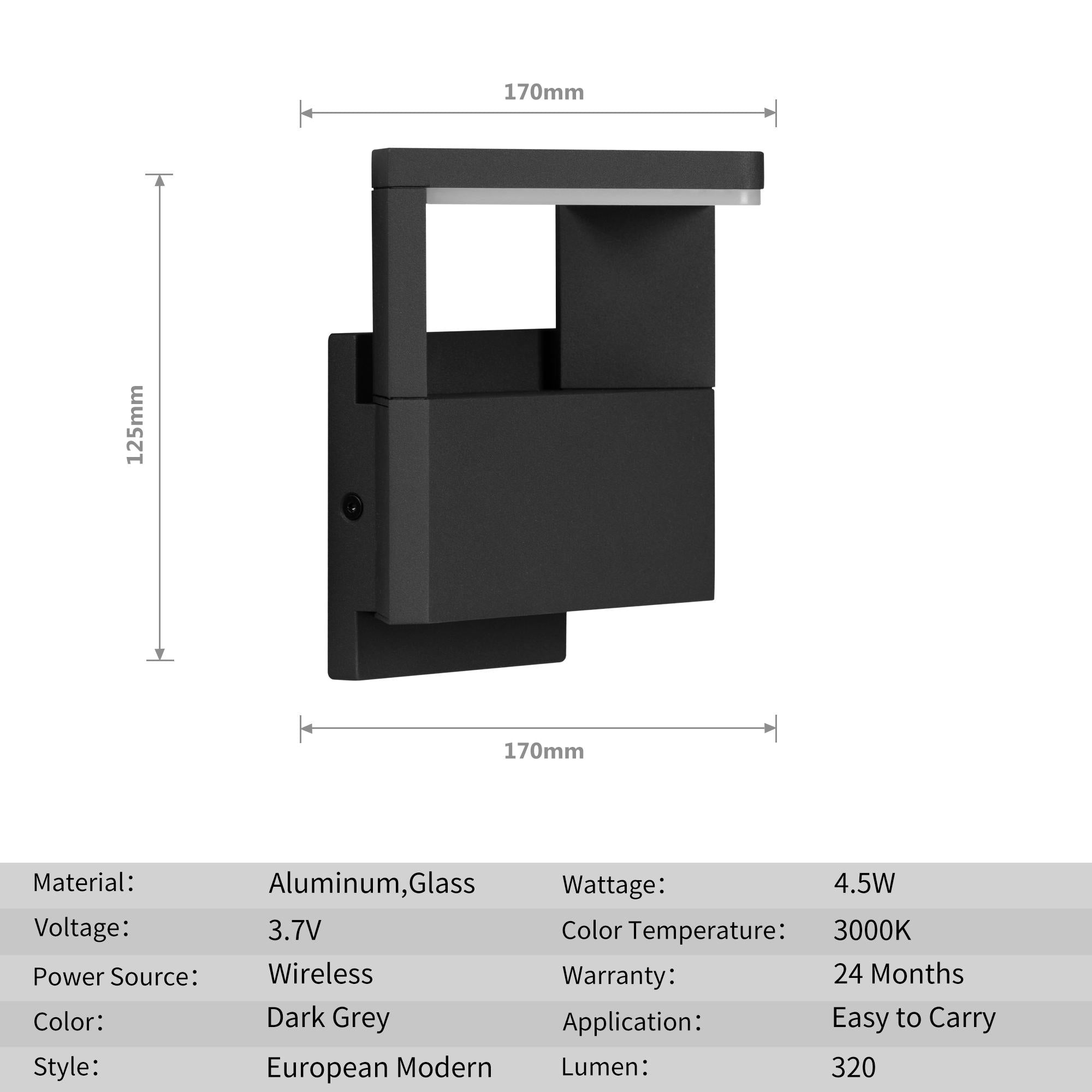 Outdoor Wall Light/ Path Light